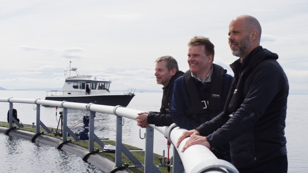 Ocean Titans — frame 2. Director of Photography Patrick D. A. Webb.