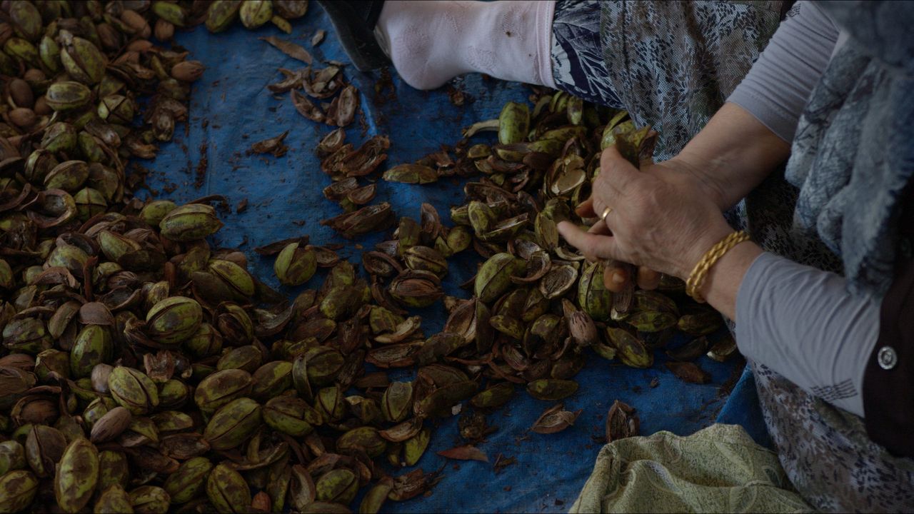 When Life Gives You Lemons — frame 18. Director of Photography Patrick D. A. Webb.
