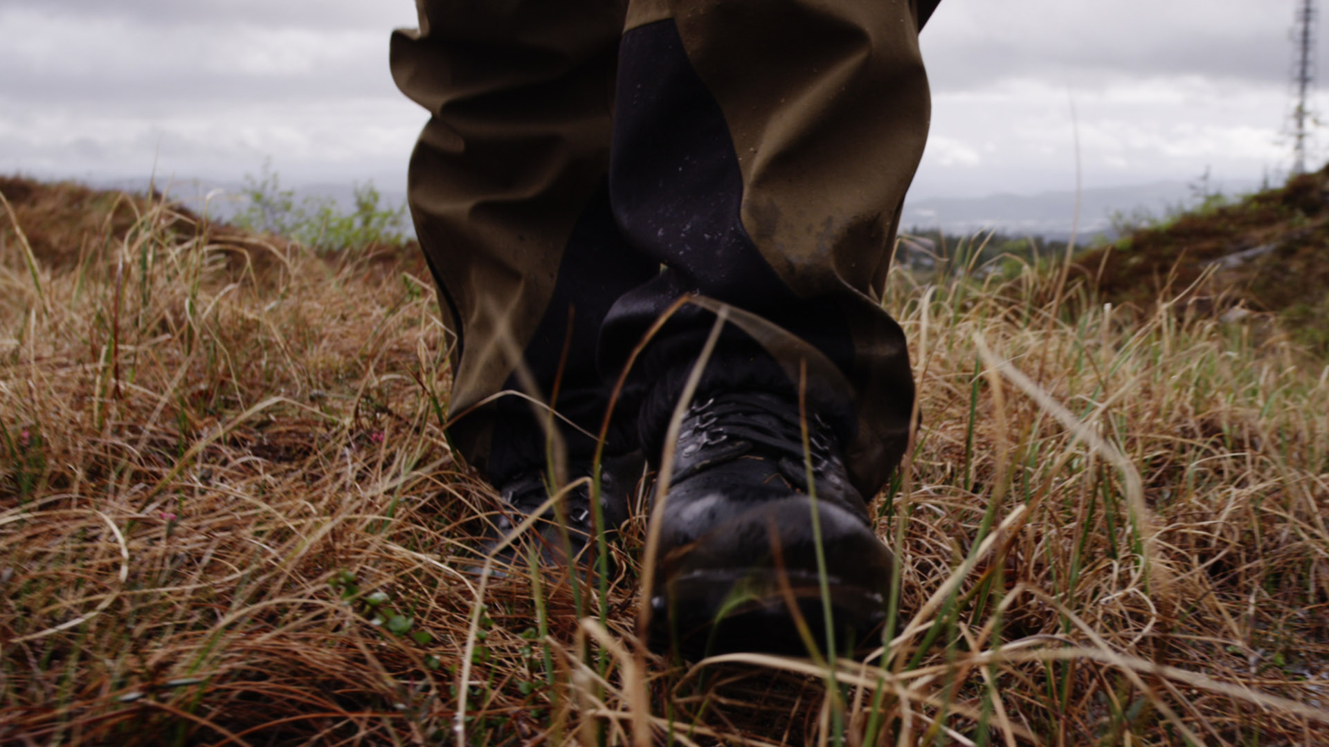 Svik / Betrayal — frame 3. Director of Photography Patrick Webb.