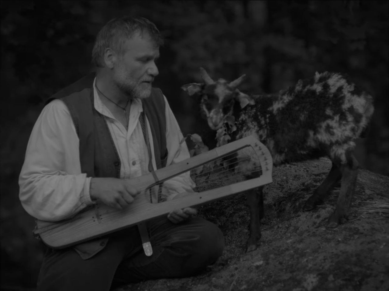 Midsommarfest — frame 3. Director of Photography Patrick D. A. Webb.